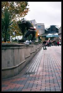 CRW_5148